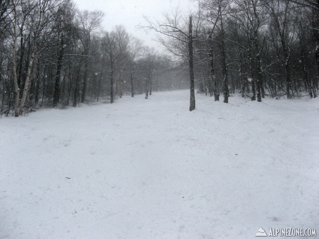 View up Lower Moonshine