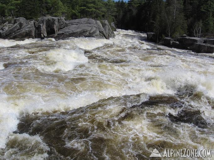 W.Br.Penobscot, 5/12, #1