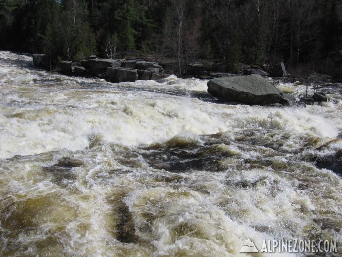 W.Br.Penobscot, 5/12, #6