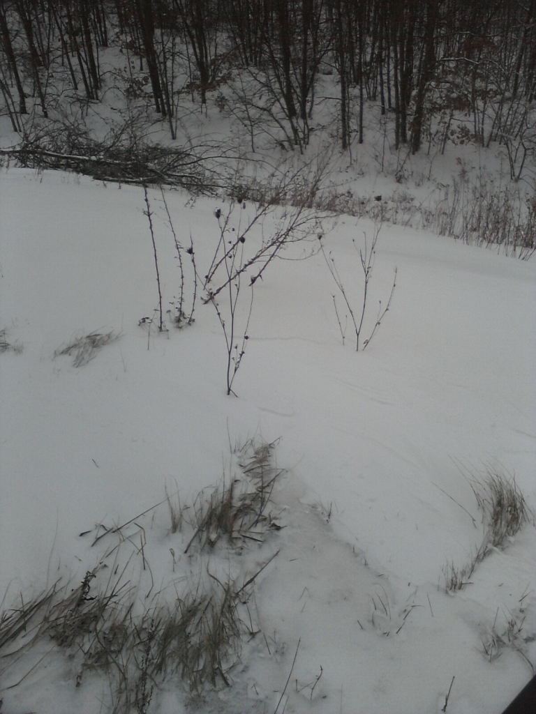 Water Tower Headwall from above