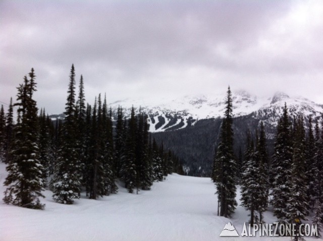 Whistler1