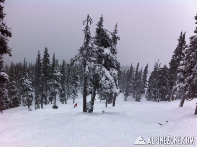 Whistler6