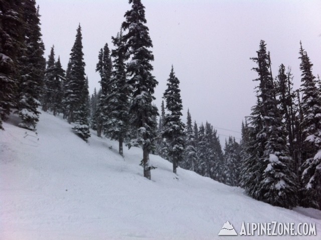 Whistler7