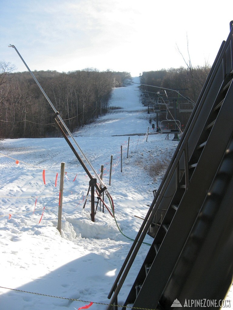 Whitetail in waiting