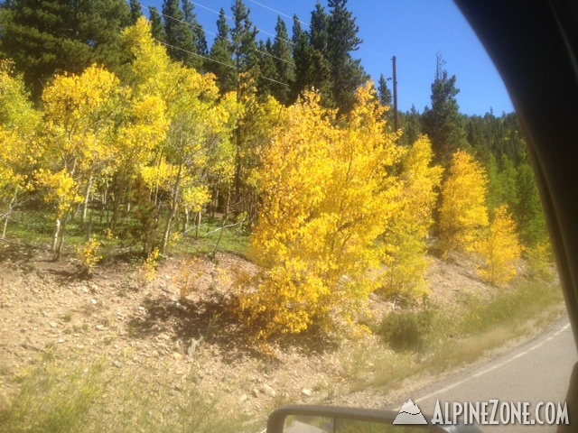 Winter is Coming! Foliage