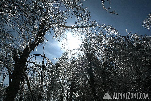 www.sugarbush.com