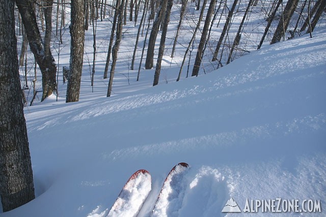 www.sugarbush.com