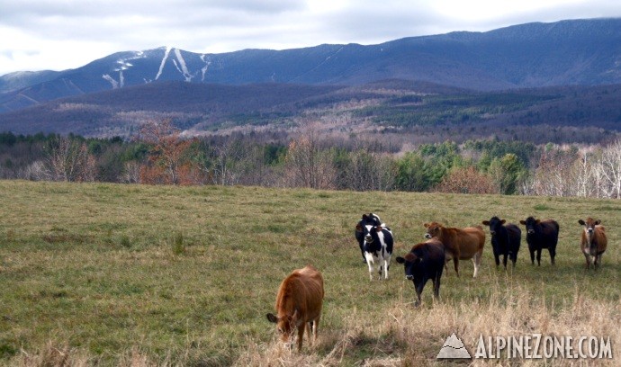 www.sugarbush.com